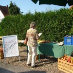 090918_Löhne_Apfel_DSC04224